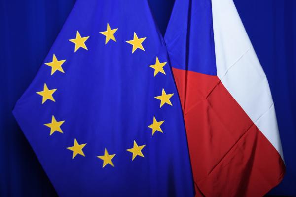 EU Member States flags alongside the European flag